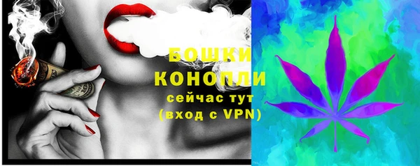 PSILOCYBIN Ростов