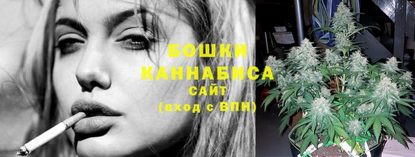 PSILOCYBIN Сафоново